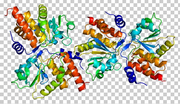 DUSP13 Protein Tyrosine Phosphatase Gene Dual-specificity Phosphatase PNG, Clipart, Art, Dualspecificity Phosphatase, Enzyme, Gene, Graphic Design Free PNG Download