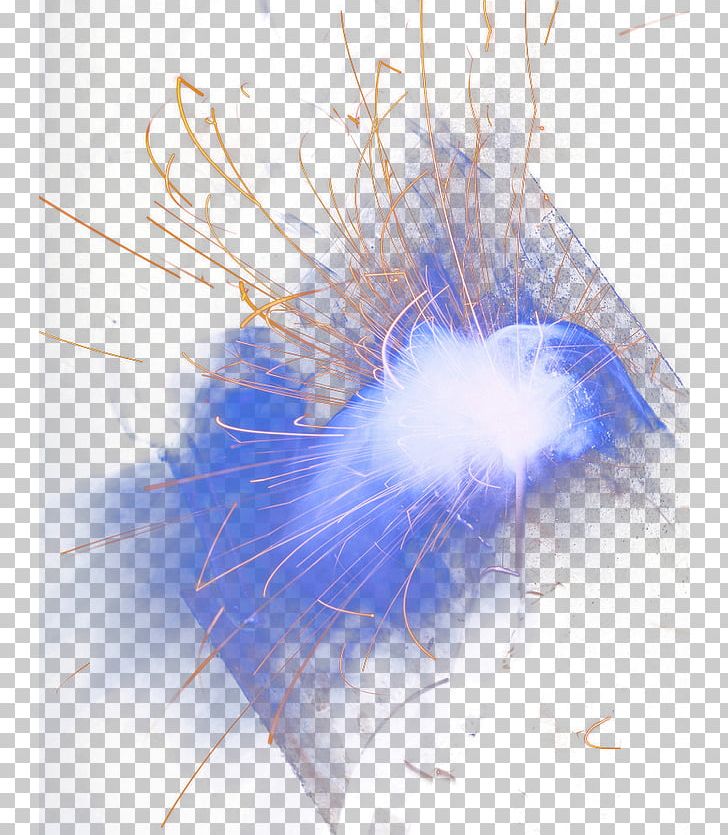 Feather Close-up Computer PNG, Clipart, Blue, Cartoon Fireworks, Closeup, Computer, Electric Blue Free PNG Download
