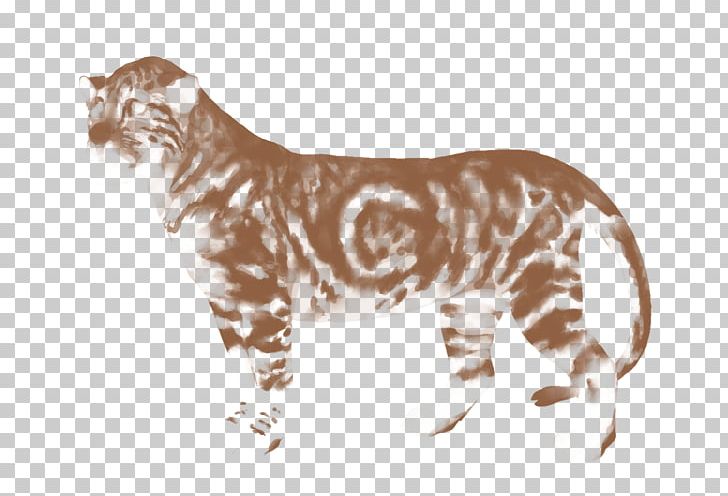 Whiskers Tiger Wildcat Felidae PNG, Clipart, Animal, Animal Figure, Animals, Big Cat, Big Cats Free PNG Download
