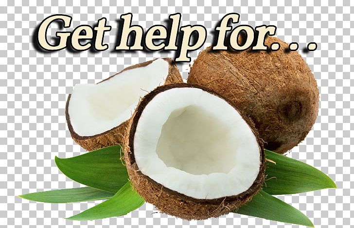 Coconut Water Coconut Milk Coconut Candy Coconut Oil PNG, Clipart, Coconut, Coconut Candy, Coconut Milk, Coconut Milk Powder, Coconut Oil Free PNG Download