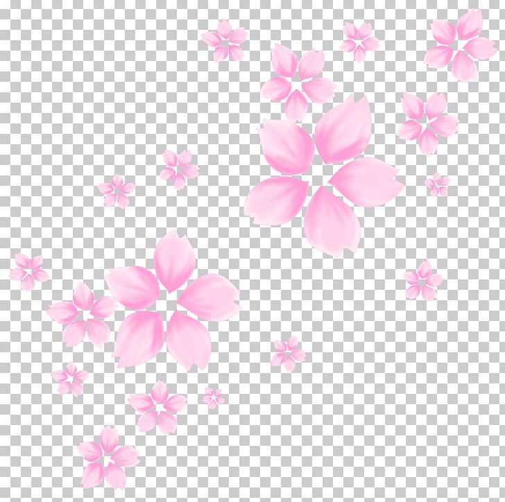 Petal Desktop Floral Design Pattern PNG, Clipart, Blossom, Cherry, Cherry Blossom, Computer, Computer Wallpaper Free PNG Download