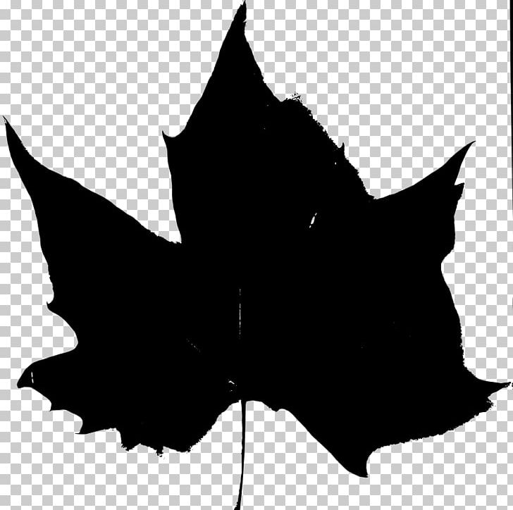 Autumn Leaf Color PNG, Clipart, Autumn, Autumn Leaf Color, Black, Black And White, Black Cat Free PNG Download