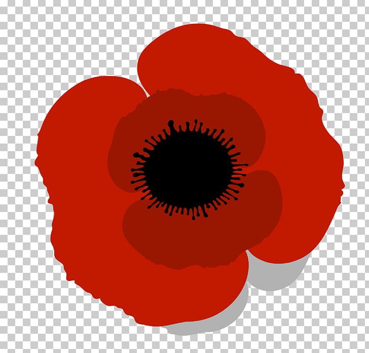 Common Poppy PNG, Clipart, Can Stock Photo, Closeup, Common Poppy, Coquelicot, Flower Free PNG Download