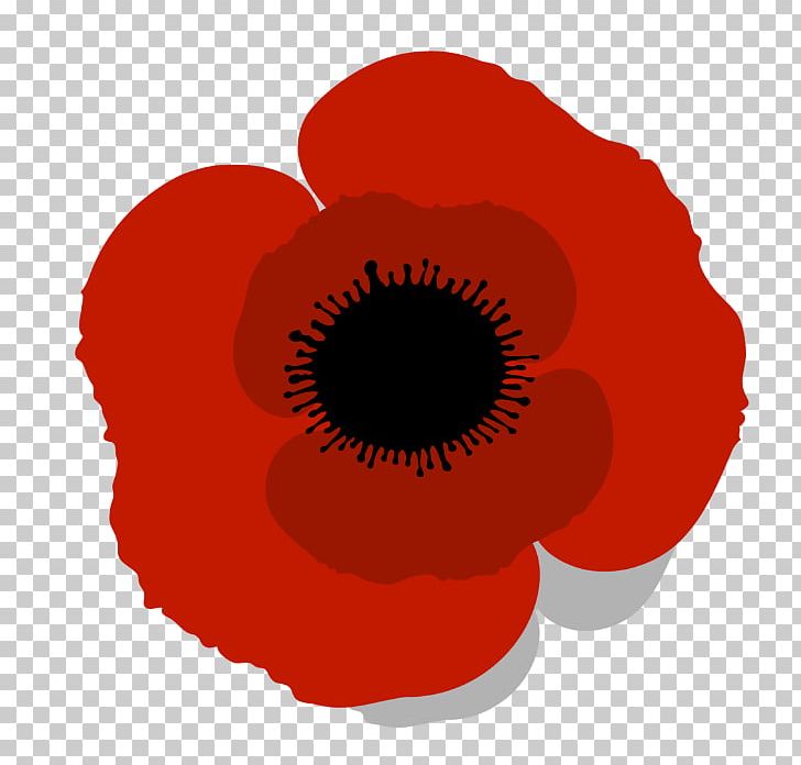 Common Poppy PNG, Clipart, Can Stock Photo, Closeup, Common Poppy ...