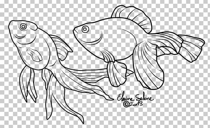 Line Art Veiltail Drawing Koi Fish PNG, Clipart, Animals, Arm, Art, Artwork, Black And White Free PNG Download