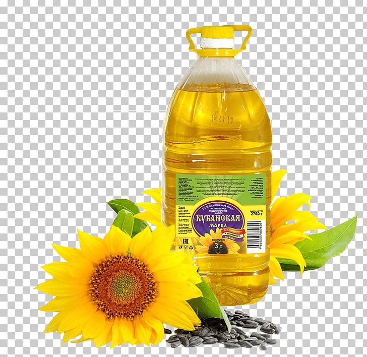 Common Sunflower Sunflower Oil Sunflower Seed Organic Food PNG, Clipart ...