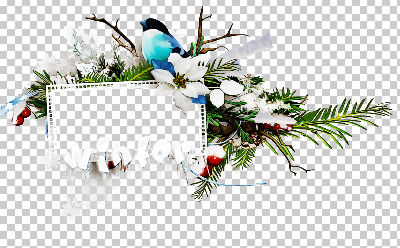 Christmas Frame Christmas Border Christmas Decor PNG, Clipart, Bird, Branch, Christmas, Christmas Border, Christmas Decor Free PNG Download