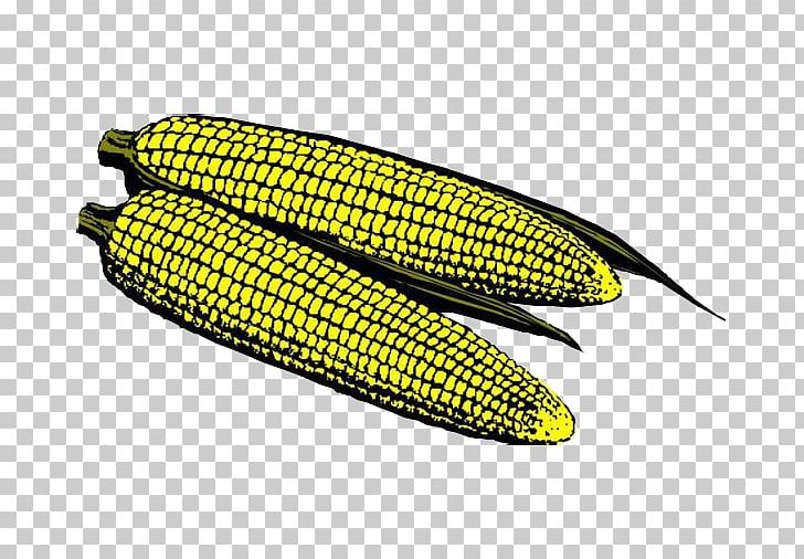 Corn On The Cob Maize Comics PNG, Clipart, Adobe Illustrator, Boy, Cartoon, Cartoon Alien, Cartoon Character Free PNG Download
