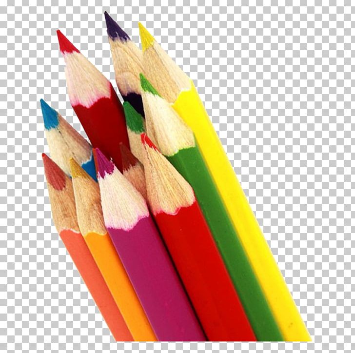 Drawing Colored Pencil Art School PNG, Clipart, Art, Artist, Art School, Business Cards, Color Free PNG Download