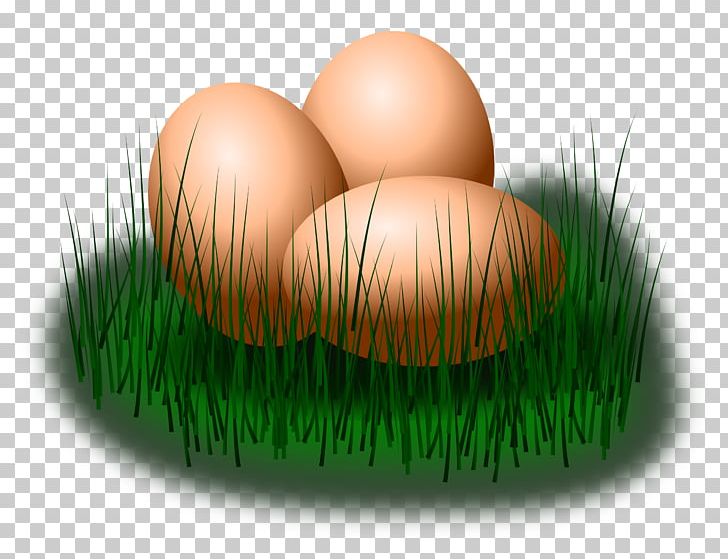 Fried Egg Chicken Easter Egg PNG, Clipart, Animals, Chicken, Commodity, Computer Icons, Computer Wallpaper Free PNG Download