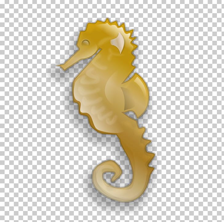 Seahorse Sheldon PNG, Clipart, Animals, Body Jewelry, Computer Icons, Drawing, Fish Free PNG Download
