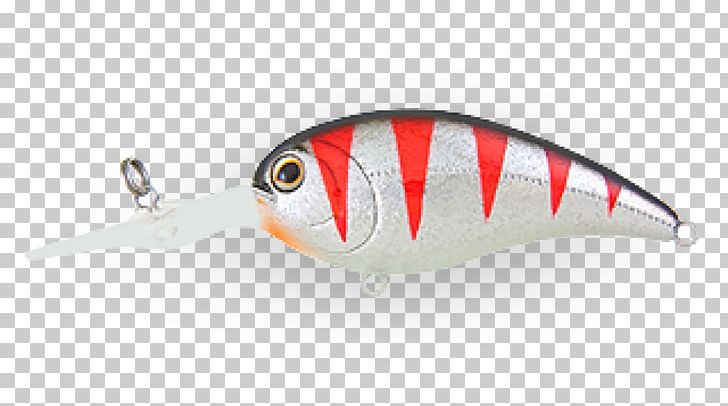 Spoon Lure Perch Fish AC Power Plugs And Sockets PNG, Clipart, Ac Power Plugs And Sockets, Bait, Fish, Fishing Bait, Fishing Lure Free PNG Download