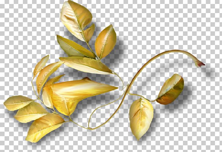 Autumn Leaf Color Petal Flower Spring PNG, Clipart, Aline, Art, Artist, Autumn, Autumn Leaf Color Free PNG Download