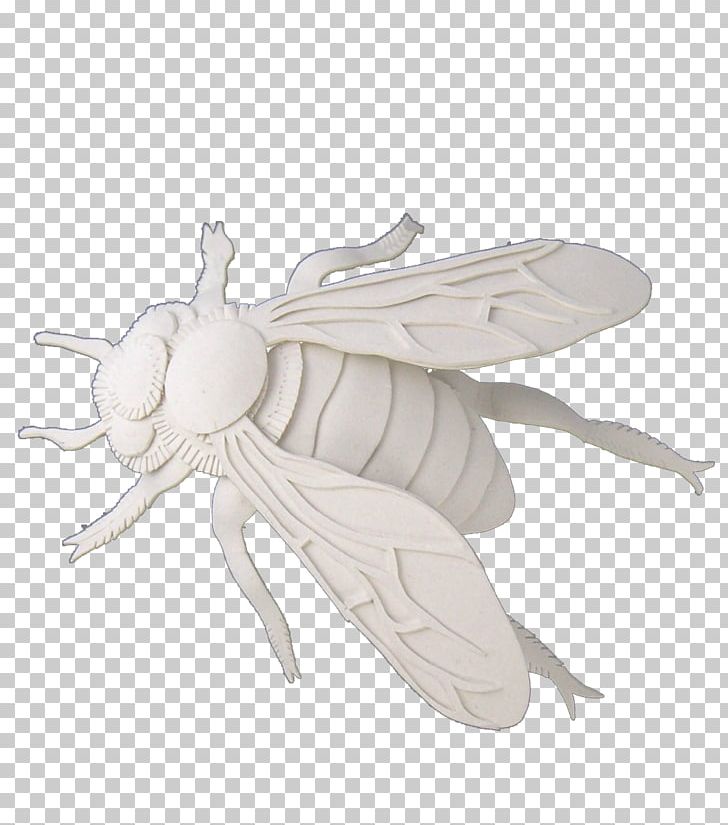 Bee Insect Paper PNG, Clipart, Animals, Architecture, Art, Bee, Cicadas Free PNG Download