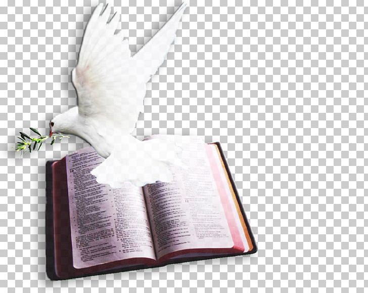 Chapters And Verses Of The Bible Psalms Doves As Symbols Pigeons And Doves PNG, Clipart,  Free PNG Download