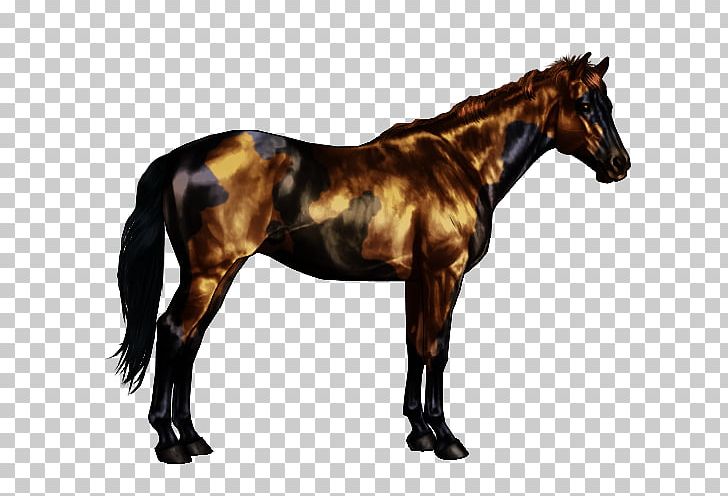 Oldenburg Horse American Paint Horse Roan Bay Black PNG, Clipart, Bay, Bit, Black, Bridle, Buckskin Free PNG Download