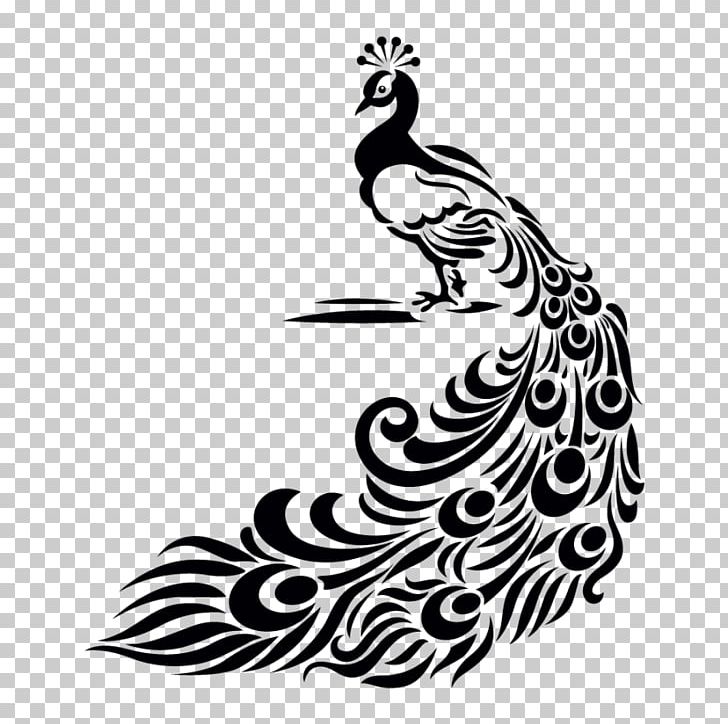 Peafowl Drawing Bird PNG, Clipart, Animals, Asiatic Peafowl, Bird, Black, Chicken Free PNG Download