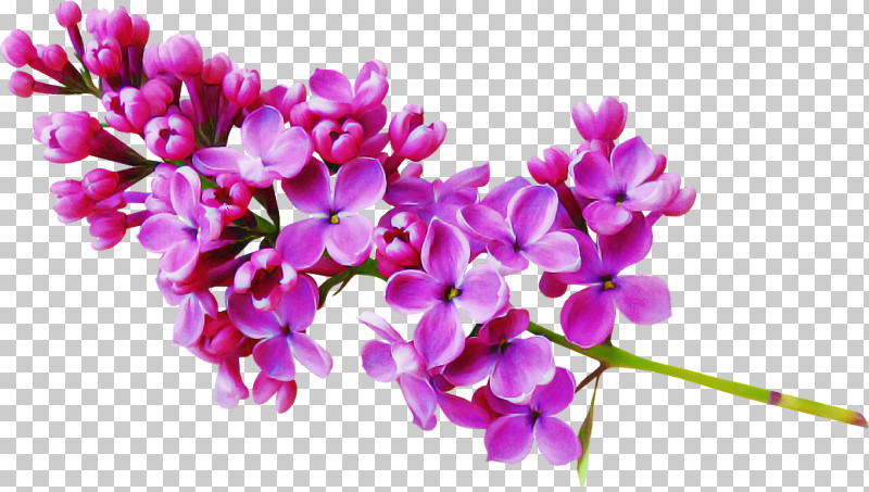Artificial Flower PNG, Clipart, Artificial Flower, Branch, Cut Flowers, Dendrobium, Flower Free PNG Download
