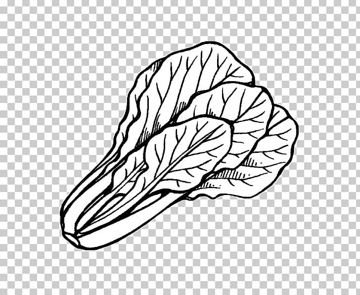 Bok Choy /m/02csf Chard Leaf PNG, Clipart, Area, Artwork, Black, Black And White, Bok Choy Free PNG Download