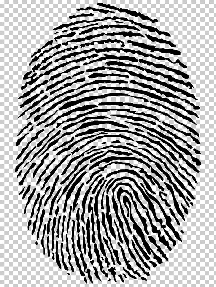 Fingerprint Identity Theft PNG, Clipart, Area, Biometrics, Black, Black And White, Circle Free PNG Download
