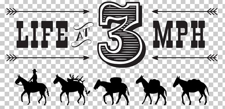 Estes Park Mule Mustang Logo PNG, Clipart, Black And White, Brand, Drawing, Equestrian, Estes Park Free PNG Download