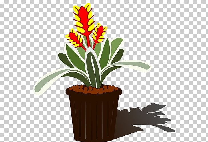 Graphics Houseplant Christmas Graphics Bromeliads PNG, Clipart, Bromeliads, Christmas Graphics, Flower, Flowering Plant, Flowerpot Free PNG Download