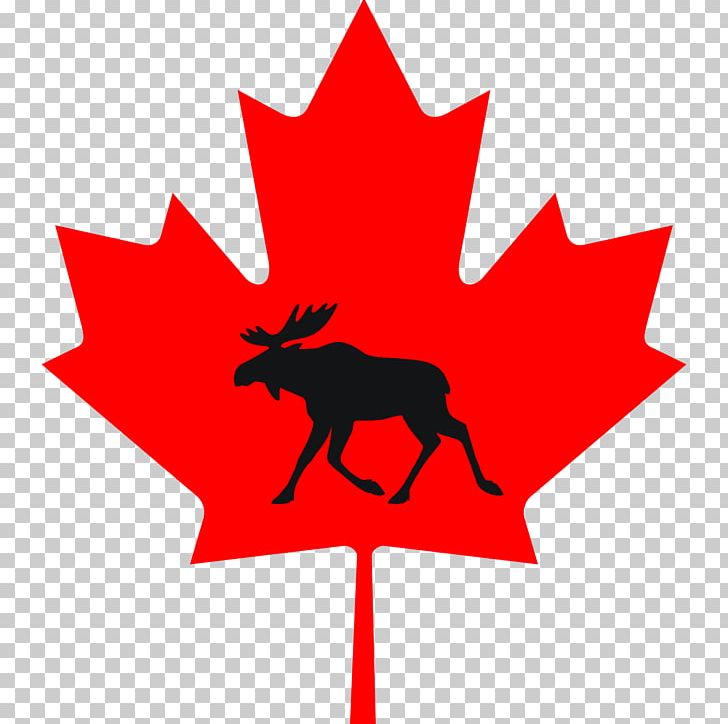 Maple Leaf Canada PNG, Clipart, Artwork, Autumn, Canada, Canada Flag, Computer Icons Free PNG Download