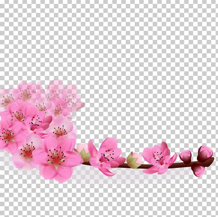 Realistic Sakura PNG, Clipart, Cherry Blossom, Cherry Blossoms, Cut Flowers, Decorative Patterns, Design Free PNG Download