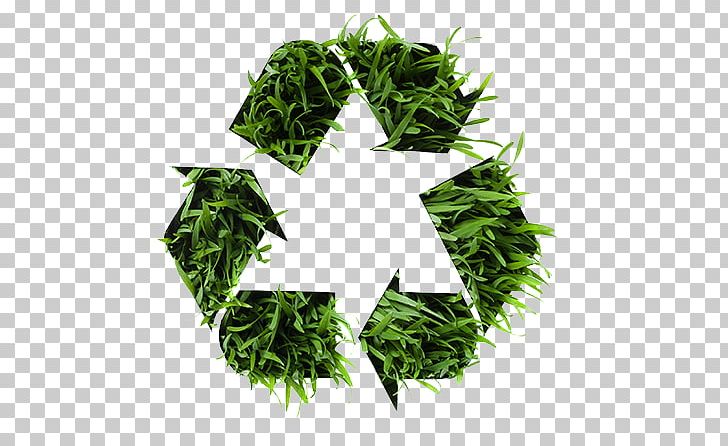Recycling Symbol Reuse Logo Decal PNG, Clipart, Aluminium Recycling, Aluminum Can, Business, Decal, Grass Free PNG Download