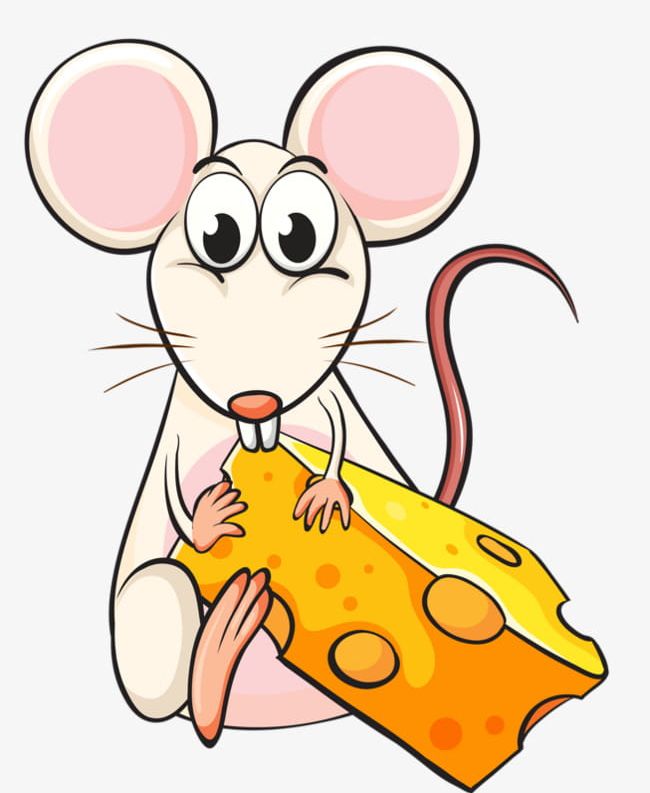 Cheese eating Rat PNG Clipart Animal Cheese Cheese Eating Clipart 