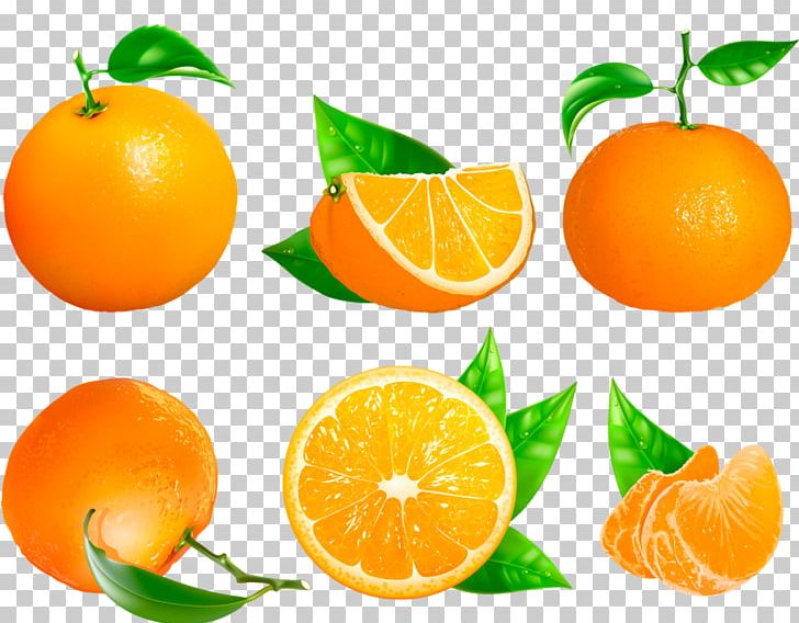 Clementine Mandarin Orange Tangerine Blood Orange Bitter Orange PNG, Clipart, Bitter Orange, Blood Orange, Chenpi, Citric Acid, Citrus Free PNG Download