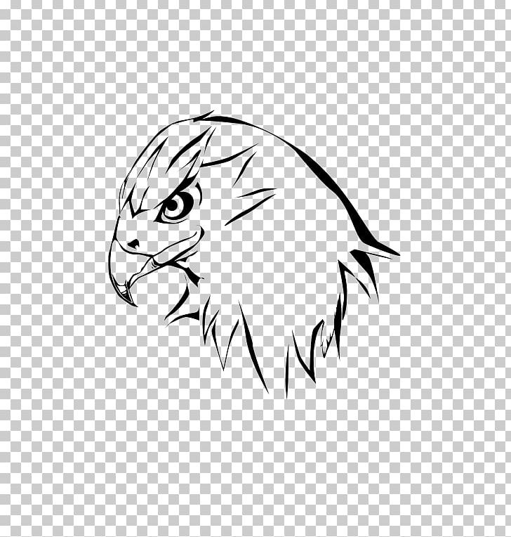 Black And White Whiskers Drawing Hawk PNG, Clipart,  Free PNG Download