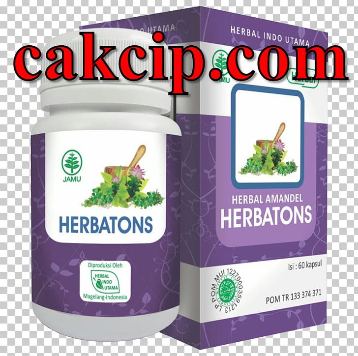 Herb Brand Product PNG, Clipart, Brand, Herb, Herbal, Others Free PNG Download