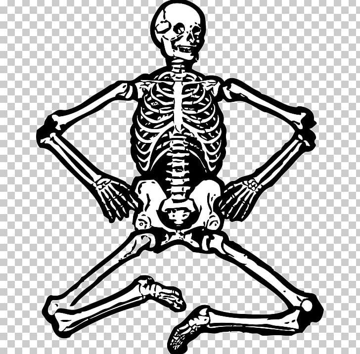 Human Skeleton PNG, Clipart, Anatomy, Arm, Black And White, Bone, Computer Icons Free PNG Download