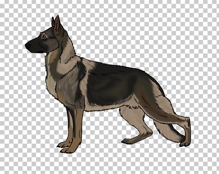 Kunming Wolfdog Saarloos Wolfdog Czechoslovakian Wolfdog German Shepherd Dog Breed PNG, Clipart, Breed, Carnivoran, Czechoslovakia, Czechoslovakian Wolfdog, Dog Free PNG Download