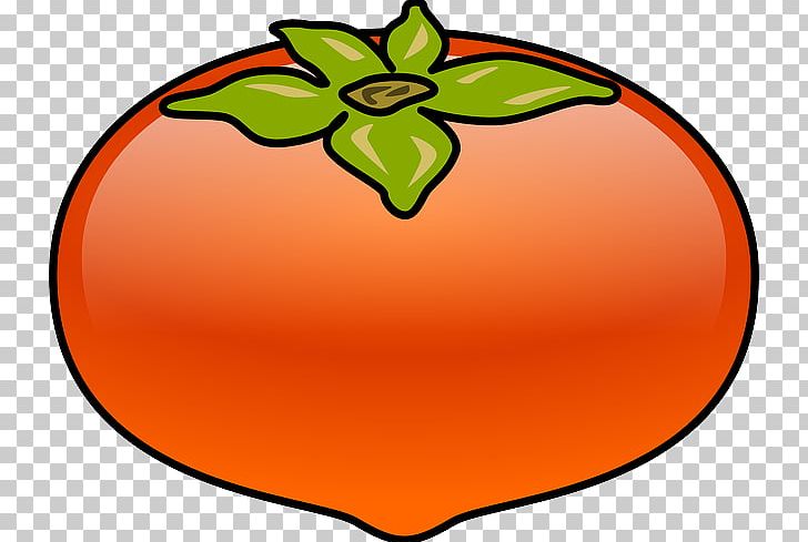 Japanese Persimmon Common Persimmon PNG, Clipart, Apple, Area, Artwork, Common Persimmon, Computer Icons Free PNG Download