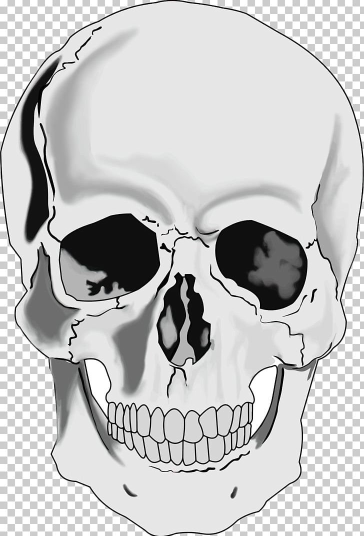 Skull Human Skeleton Human Head PNG, Clipart, Black And White, Bone, Drawing, Eyewear, Face Free PNG Download