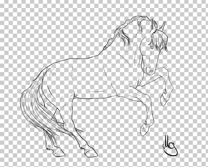 Wild Horse Drawing Line Art Pencil PNG, Clipart, Animal Figure, Animals, Arm, Artwork, Black And White Free PNG Download