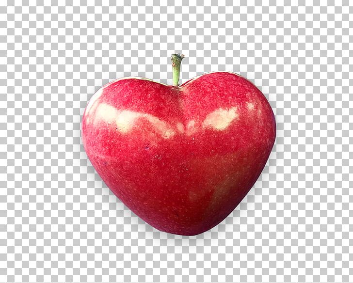 Apple Auglis Fruit Watermelon PNG, Clipart, Apple, Auglis, Download, Drawing, Fruit Free PNG Download