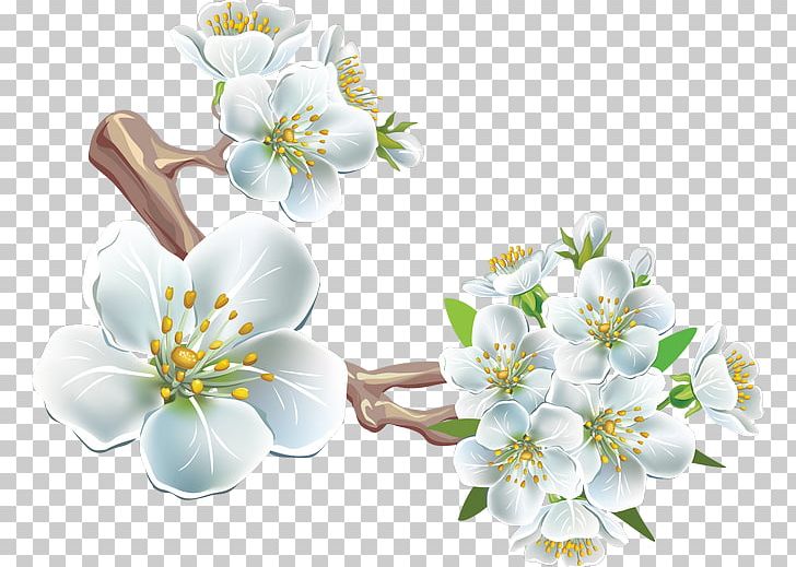 Flower PhotoScape PNG, Clipart, Black White, Blossom, Branch, Branches, Cherry Free PNG Download