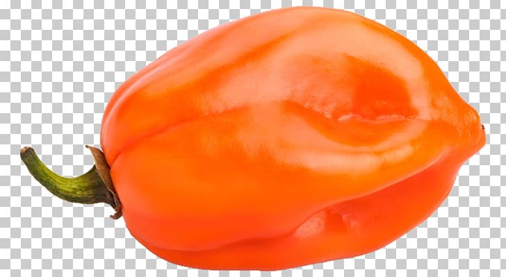 Habanero Chili Pepper Bell Pepper Stock Photography Capsicum PNG, Clipart, Bell Pepper, Bell Peppers And Chili Peppers, Chili Pepper, Food, Fruit Free PNG Download