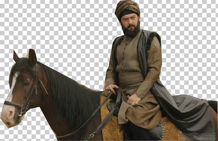 Manisa Ottoman Empire Valide Sultan Şehzade PNG, Clipart, Bridle, Fatma Sultan, Horse, Horse Harness, Horse Like Mammal Free PNG Download