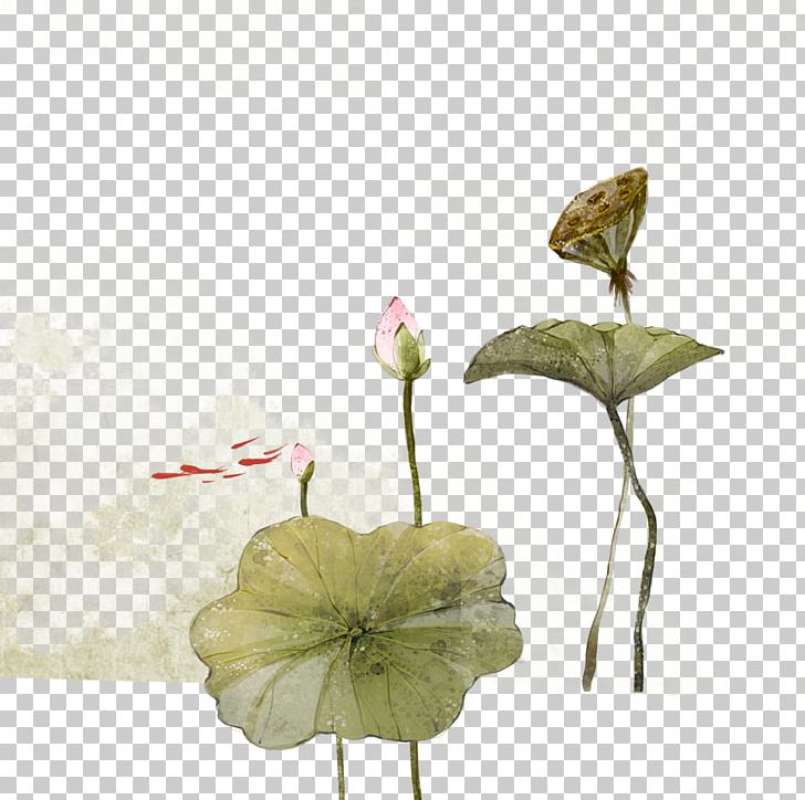 Nelumbo Nucifera Ink Wash Painting Watercolor Painting PNG, Clipart, Creative Work, Download, Flora, Floral Design, Flower Free PNG Download