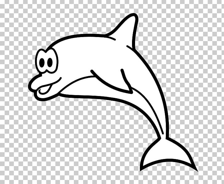 Oceanic Dolphin Cetacea Drawing PNG, Clipart, Animal, Animals, Animation, Beak, Black And White Free PNG Download
