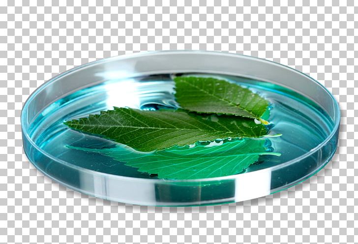 Plastic PNG, Clipart, Cell Culture, Glass, Plastic Free PNG Download