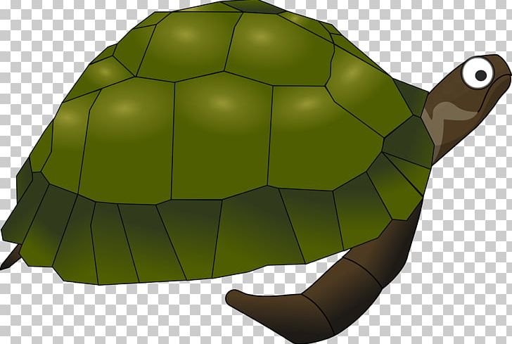 Sea Turtle Common Snapping Turtle PNG, Clipart, Alligator Snapping Turtle, Animals, Box Turtle, Common Snapping Turtle, Diamondback Terrapin Free PNG Download