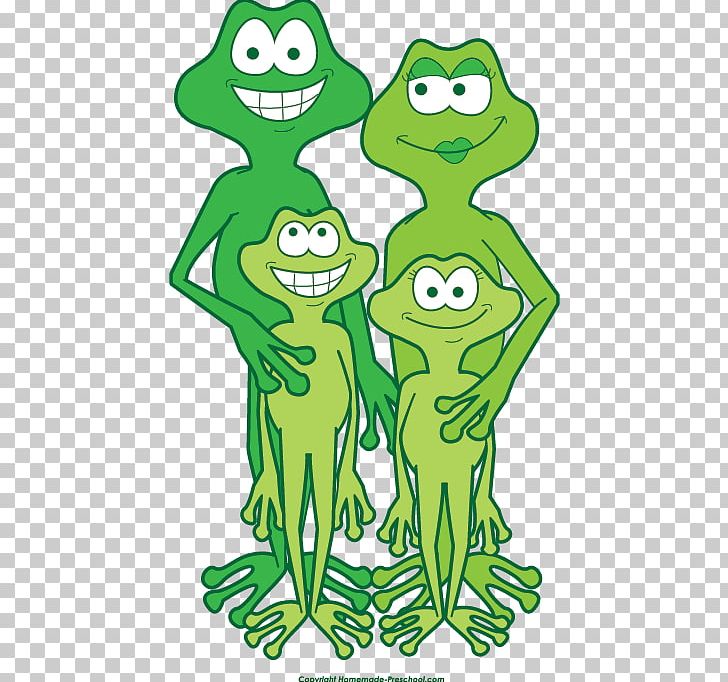 Tree Frog Open A Family Of Frogs PNG, Clipart, Amphibians, Animal, Animal Figure, Area, Art Free PNG Download