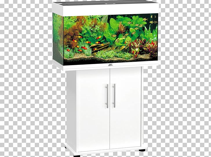 Aquariums Juwel Tropical Fish Aquarium Lighting PNG, Clipart, Aquarium, Aquarium Filters, Aquarium Lighting, Aquariums, Aquascaping Free PNG Download