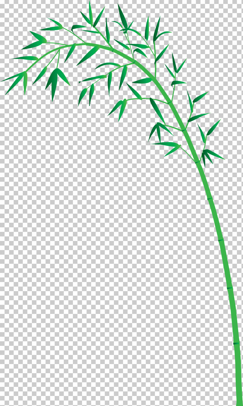 Bamboo Leaf PNG, Clipart, Bamboo, Branch, Flower, Grass, Grass Family Free PNG Download