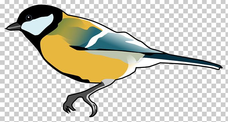 Bird Finch Penguin PNG, Clipart, American Robin, Animal Figure, Animals, Artwork, Beak Free PNG Download